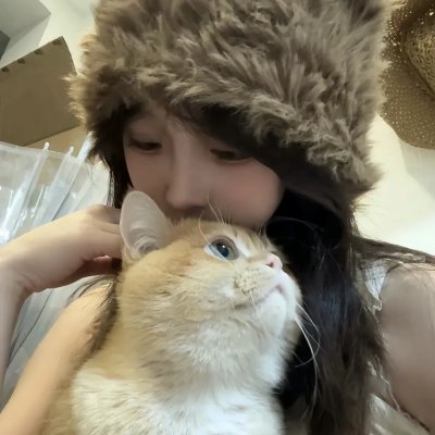 失眠者的避难所